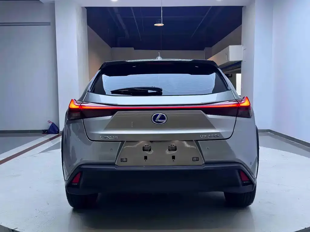 Lexus UX New Energy — фото 5