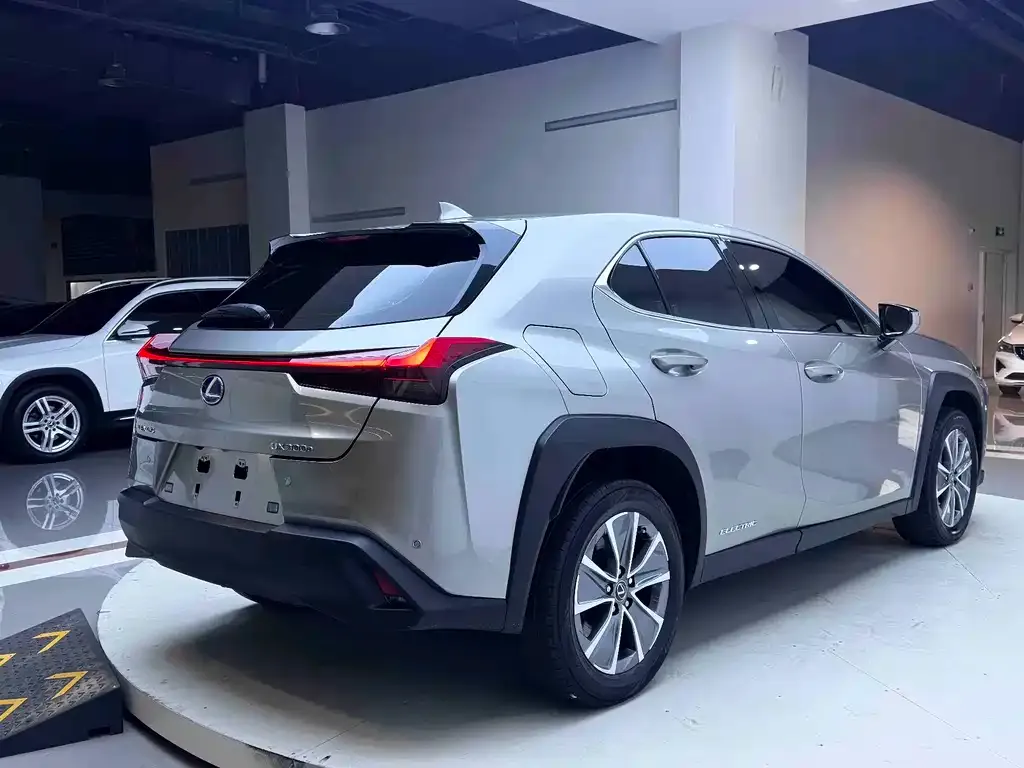Lexus UX New Energy — фото 7