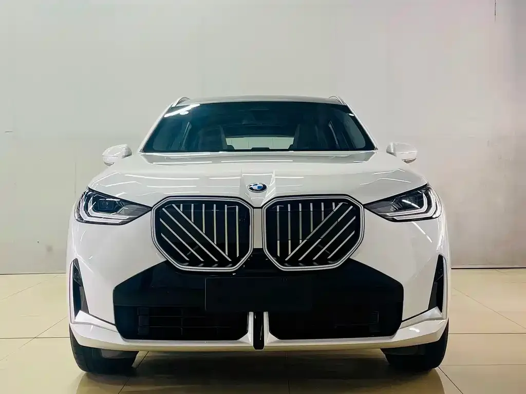 BMW X3 — фото 1