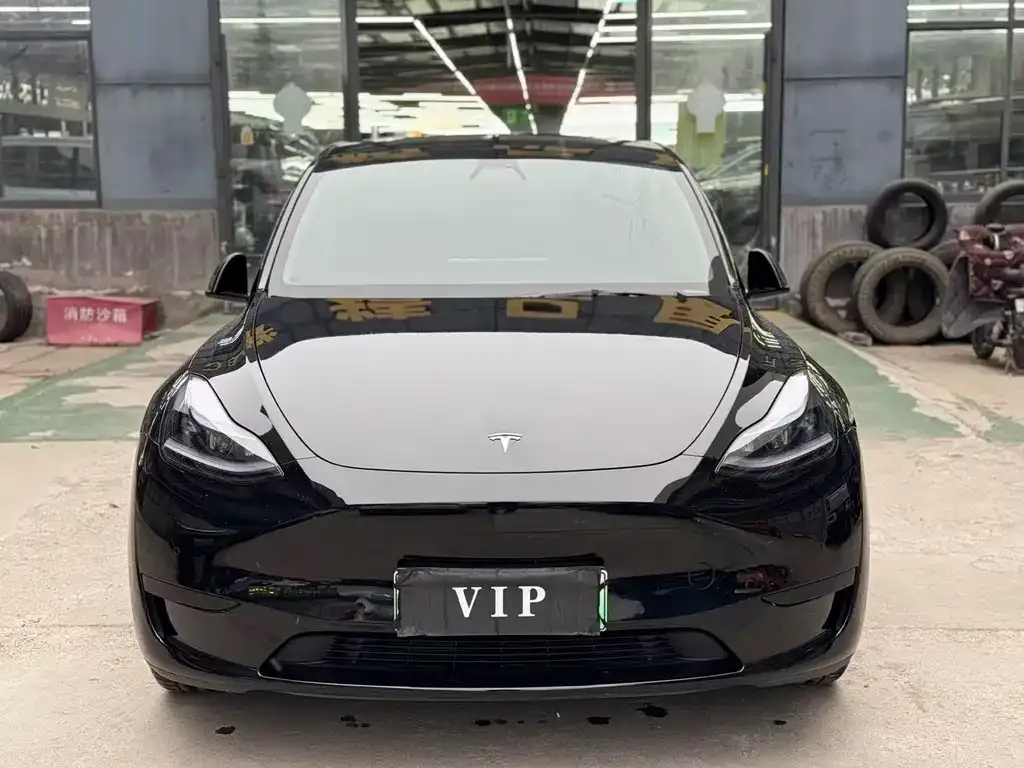 Tesla Model Y — фото 1