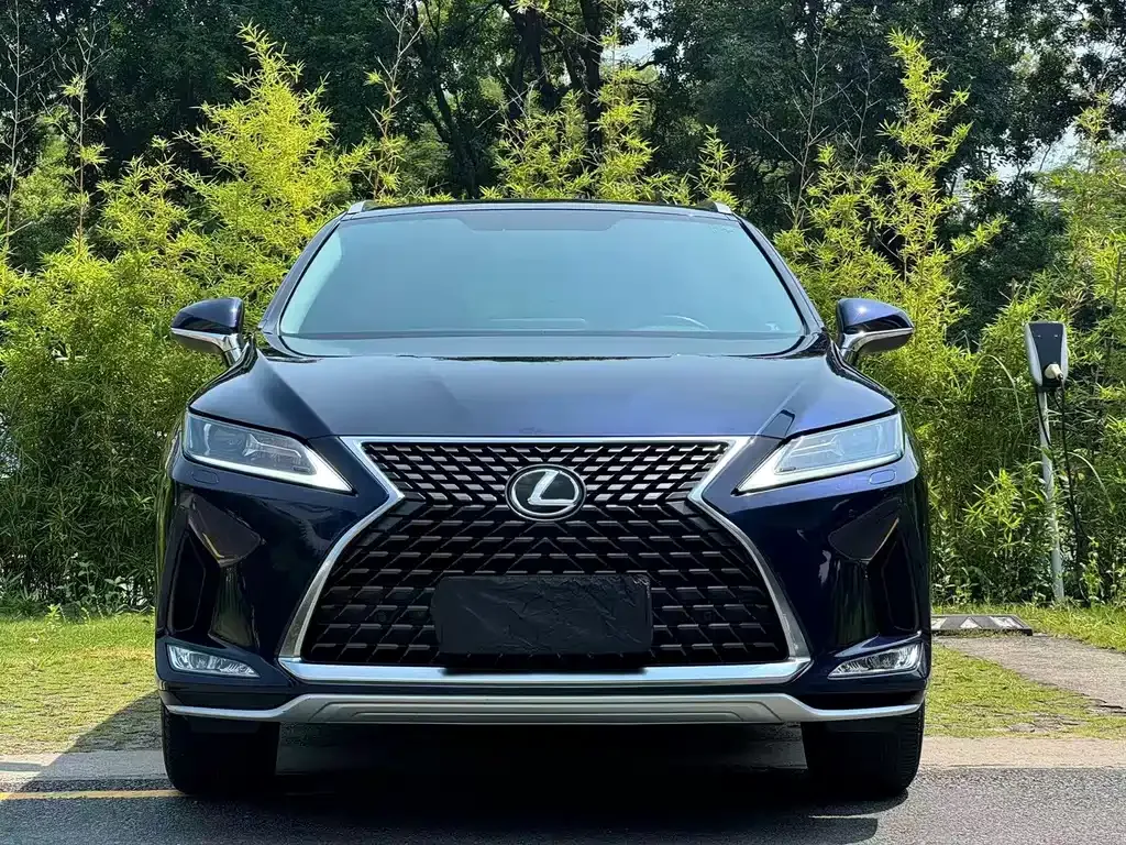Lexus RX — фото 6