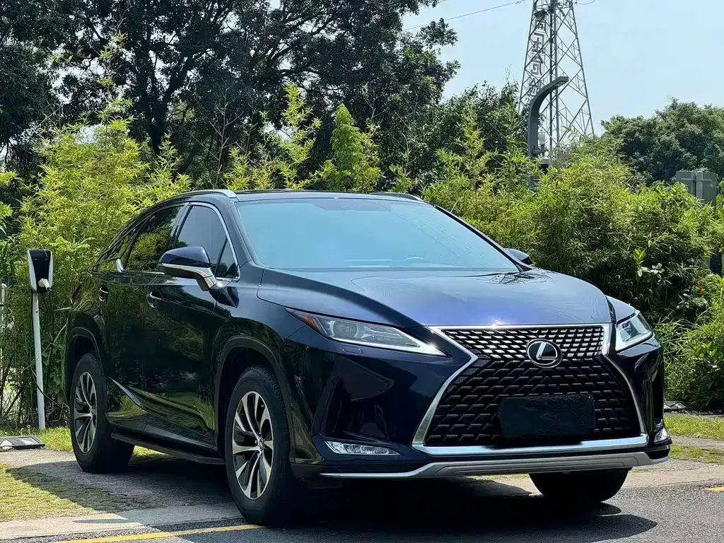 Lexus RX — фото 10
