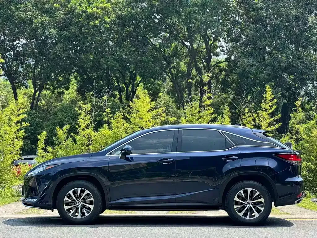 Lexus RX — фото 9