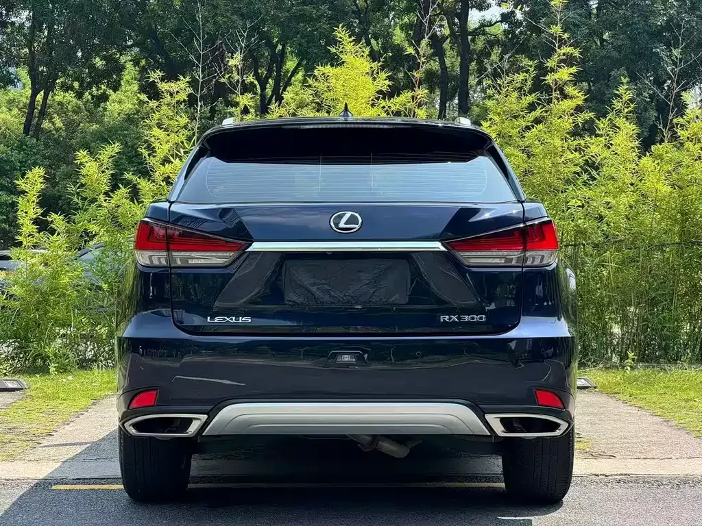 Lexus RX — фото 8