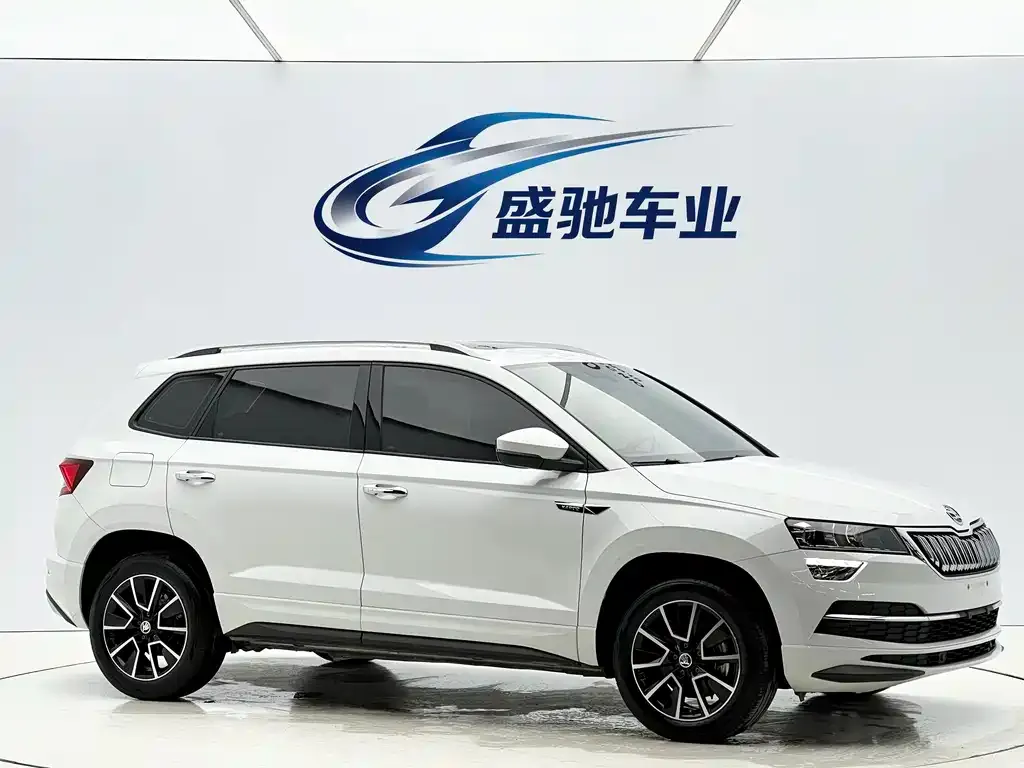Skoda Karoq — фото 7
