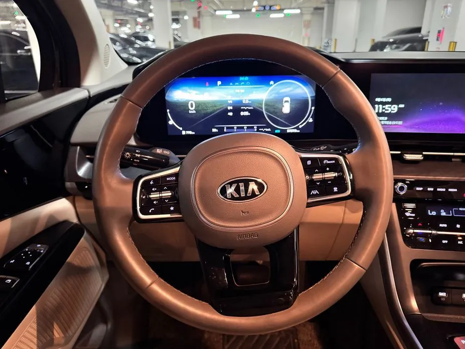 Kia Carnival — фото 10