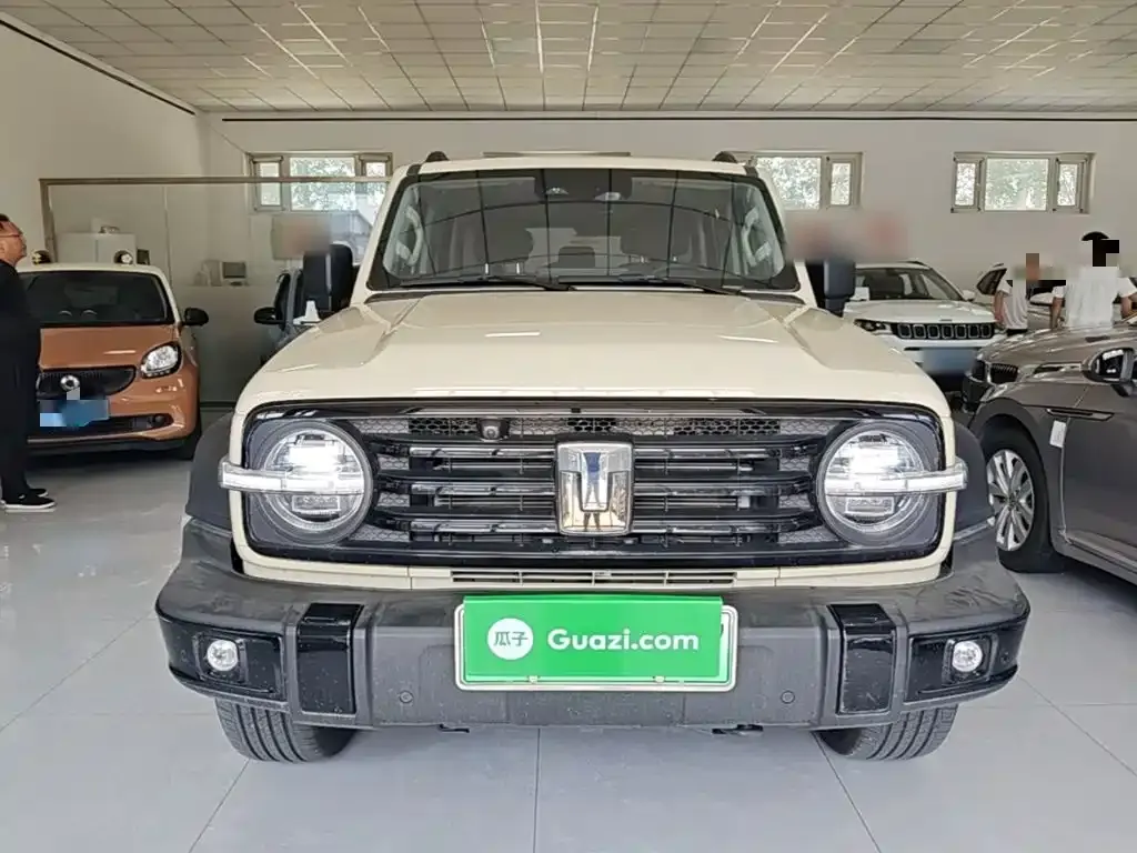 Tank 300 New Energy — фото 6