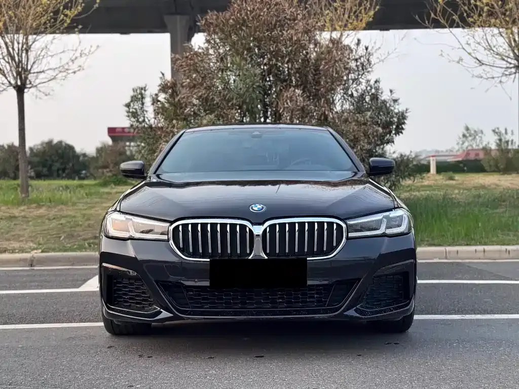BMW 5 Series New Energy — фото 1