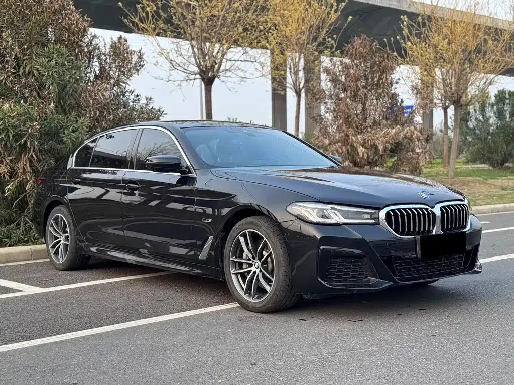 BMW 5 Series New Energy — фото 9