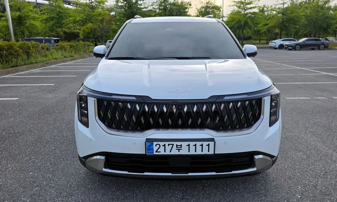 Kia Carnival — фото 10