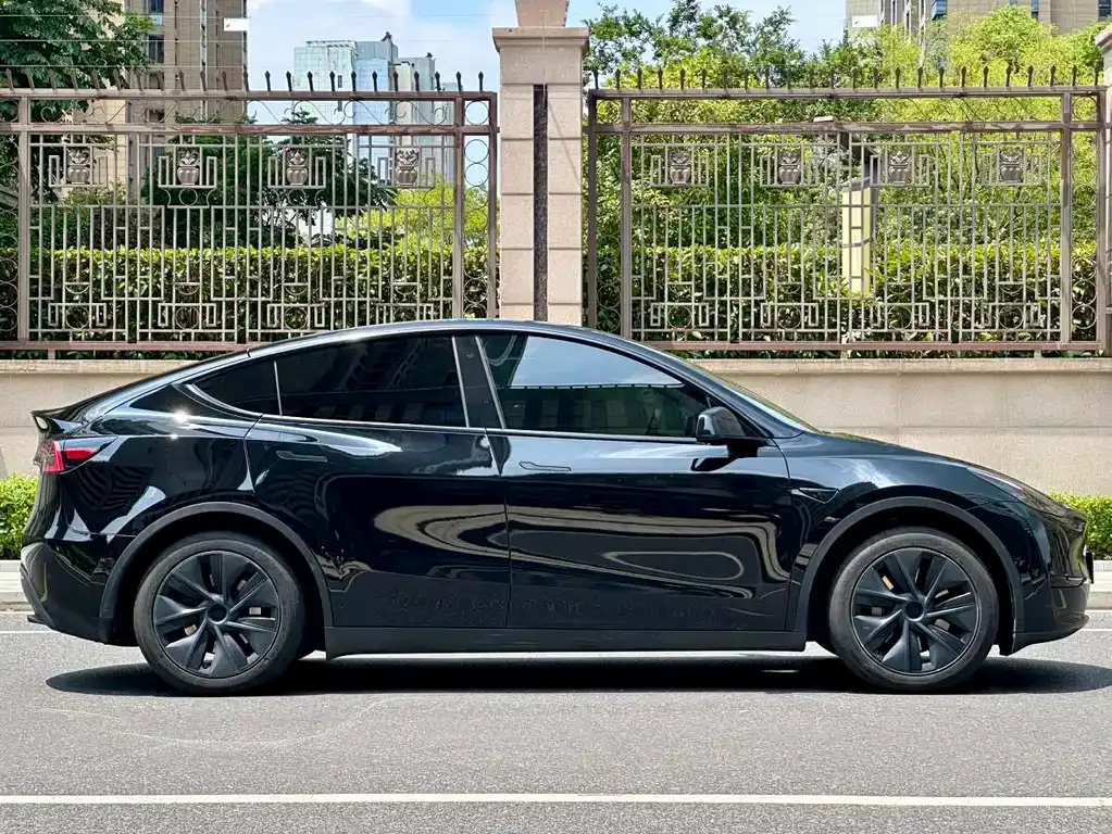 Tesla Model Y — фото 2