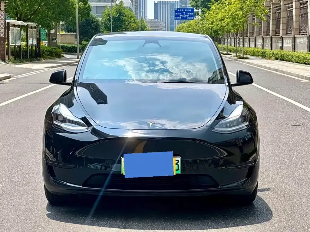 Tesla Model Y — фото 9