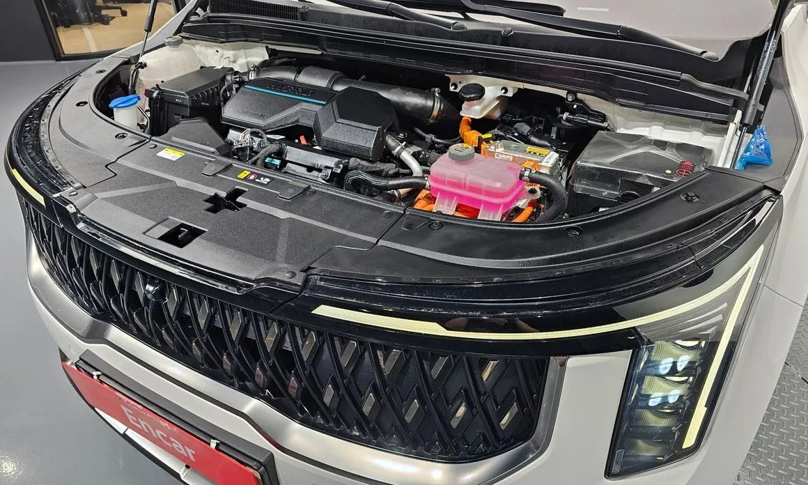 Kia Carnival — фото 10