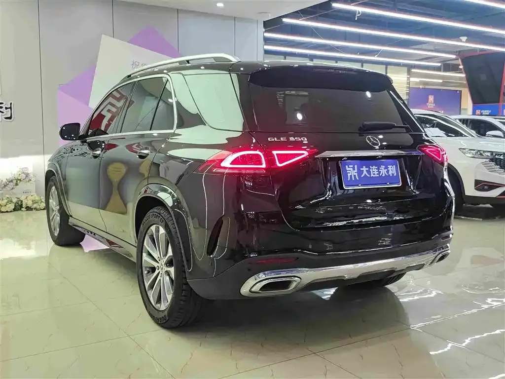 Mercedes-Benz 奔驰GLE(进口) — фото 10