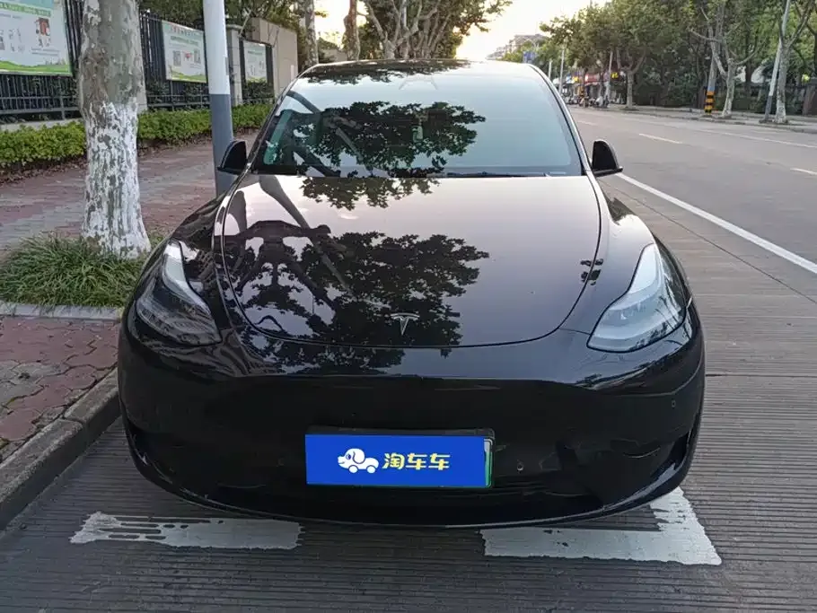 Tesla Model Y — фото 10