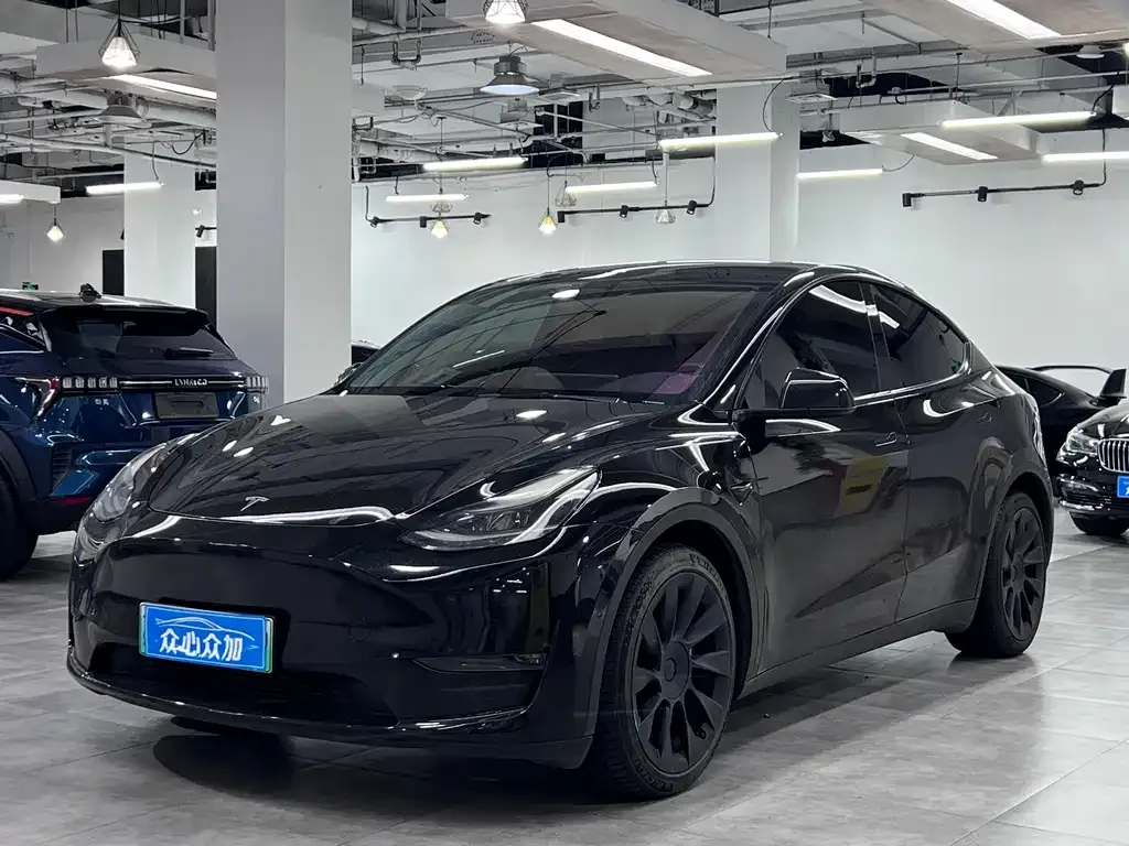Tesla Model Y — фото 1