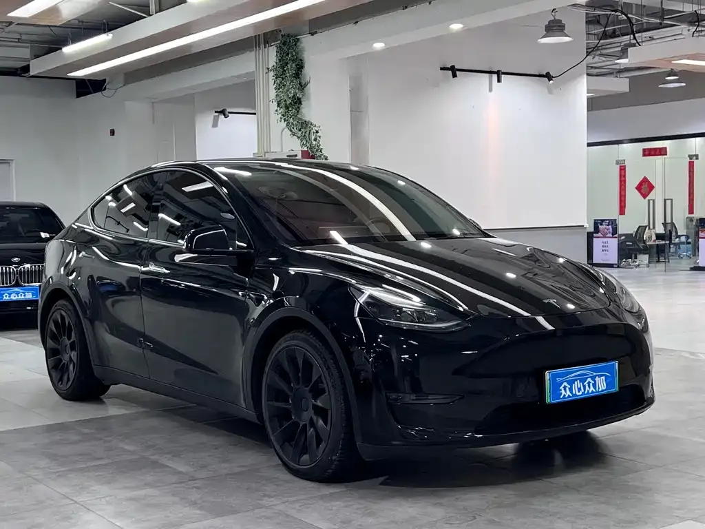 Tesla Model Y — фото 5