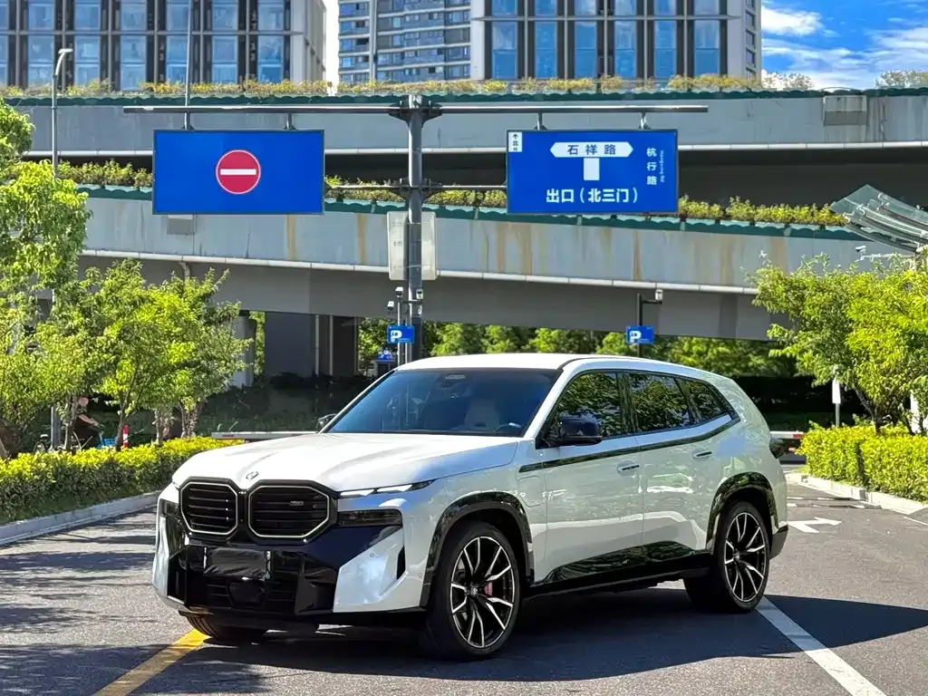 BMW XM — фото 9