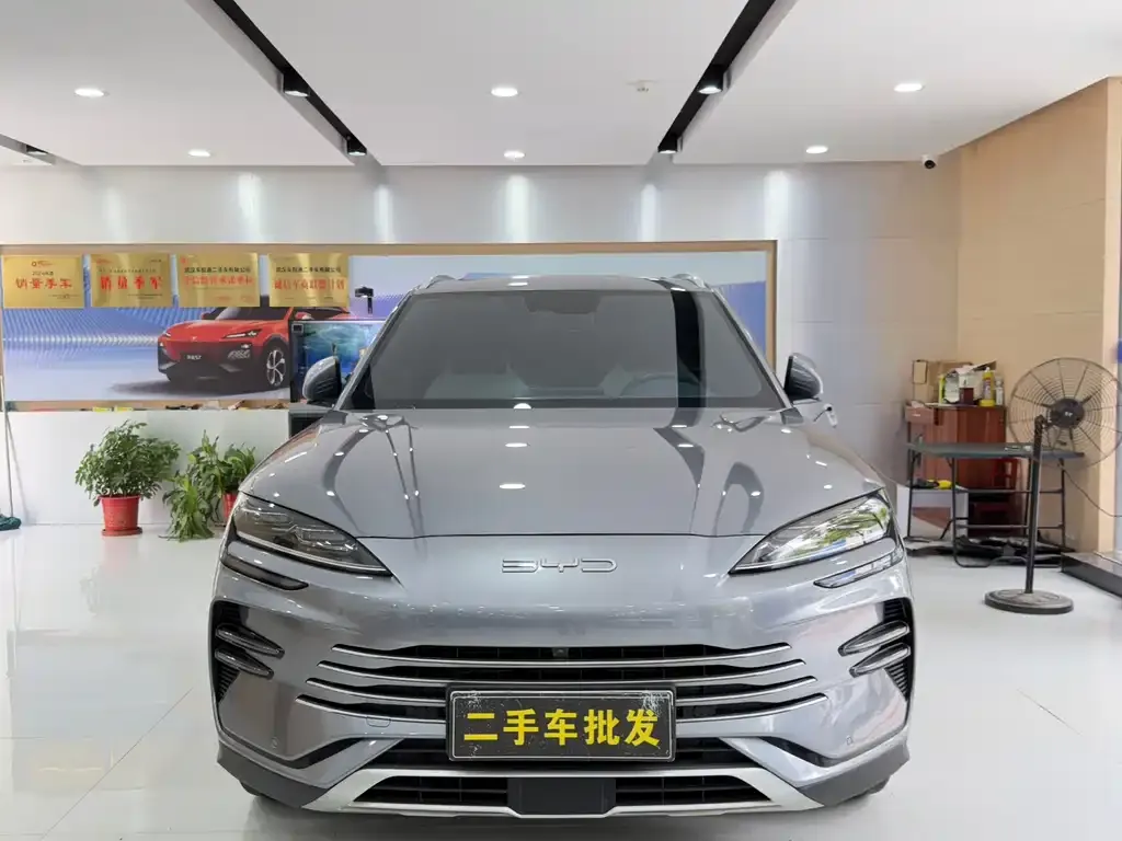 BYD PLUS New Energy — фото 5