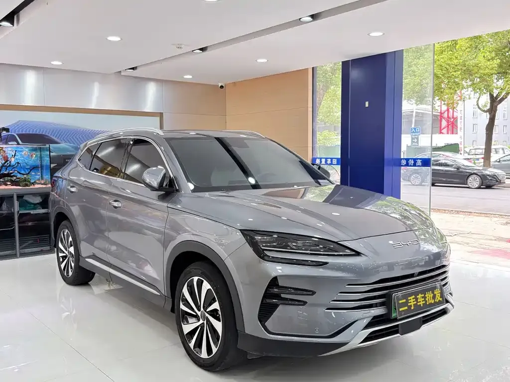 BYD PLUS New Energy — фото 8