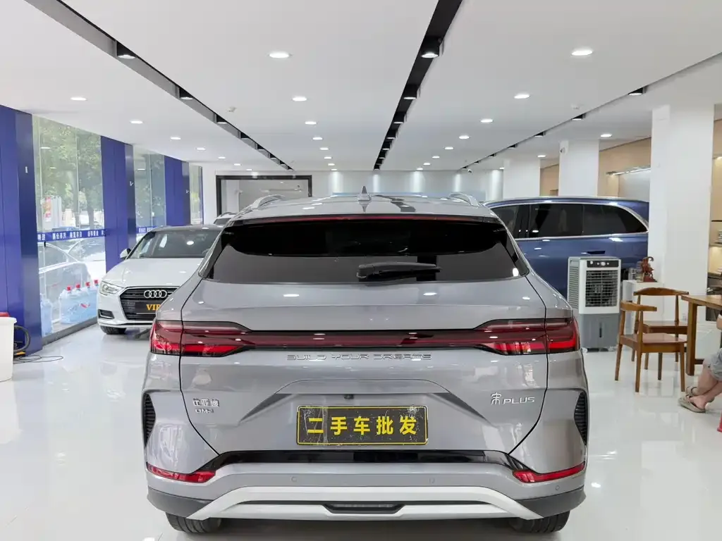 BYD PLUS New Energy — фото 10