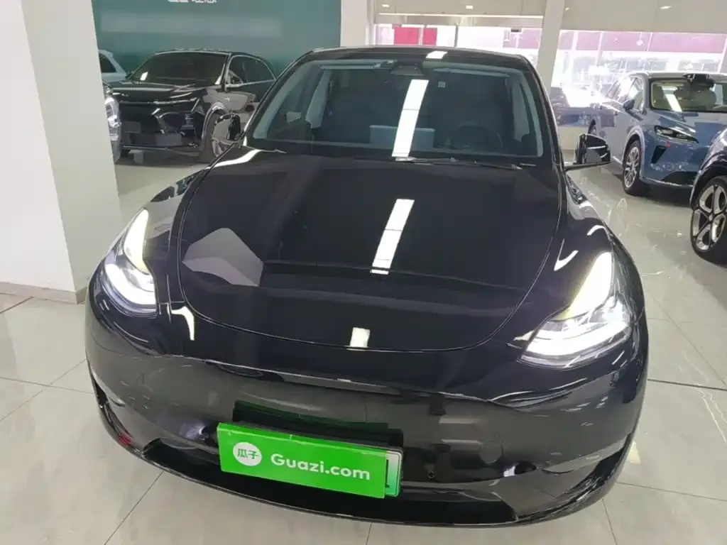 Tesla Model Y — фото 2