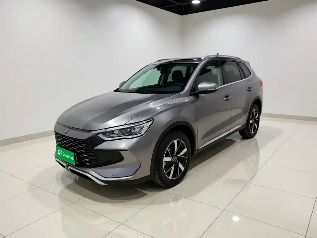 BYD Pro New Energy — фото 2