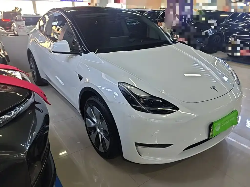 Tesla Model Y — фото 6