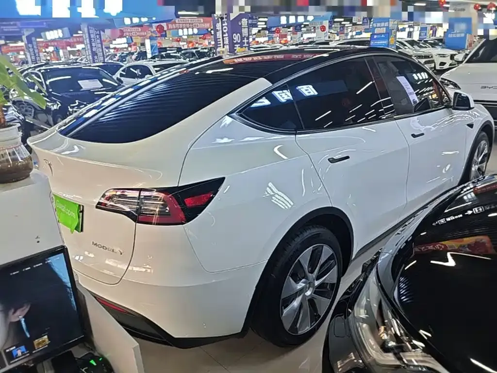 Tesla Model Y — фото 8