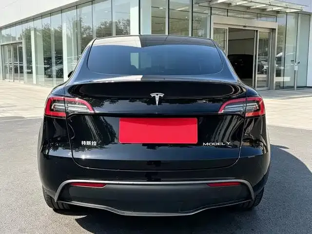 Tesla Model Y — фото 8