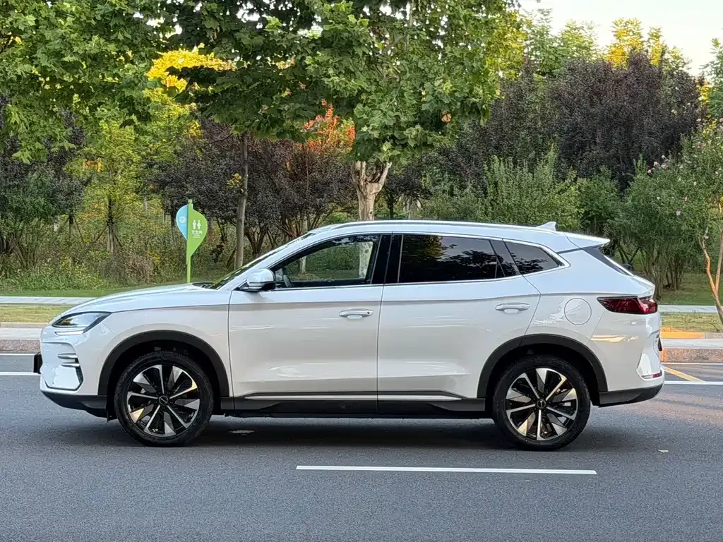 BYD PLUS New Energy — фото 10
