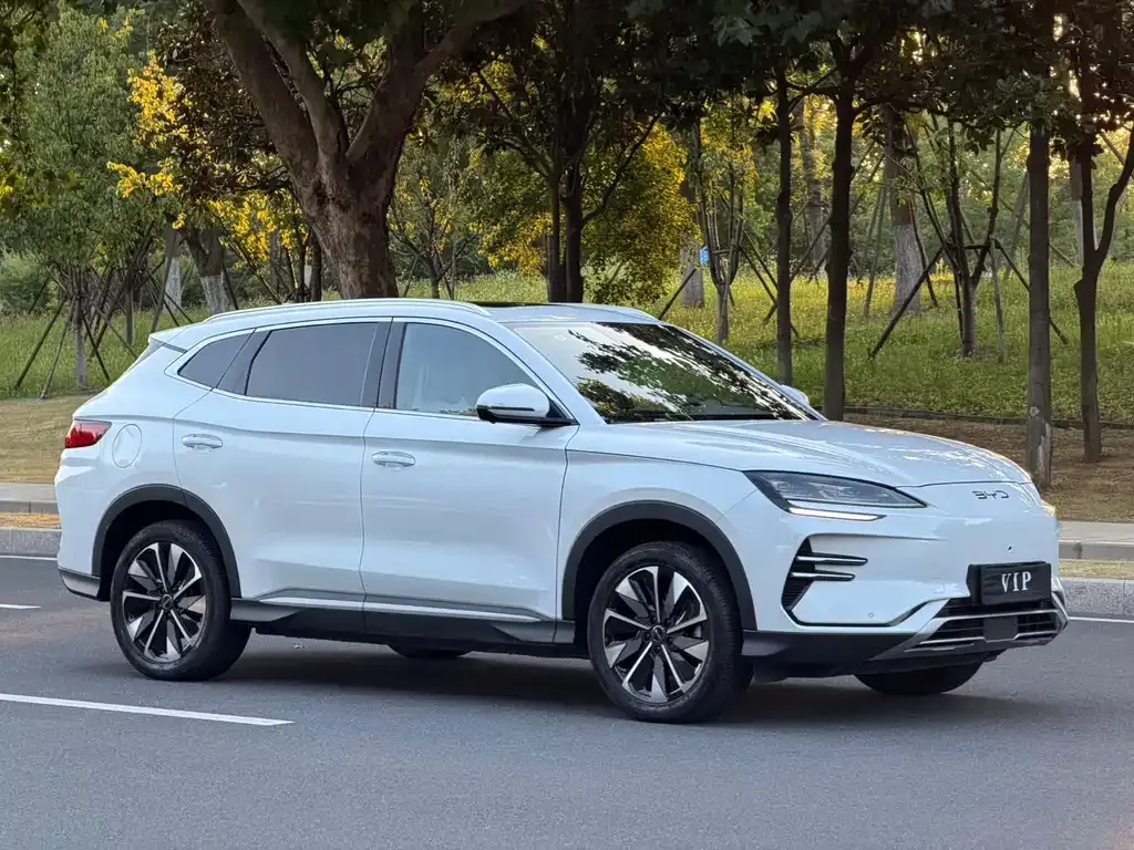 BYD PLUS New Energy — фото 6