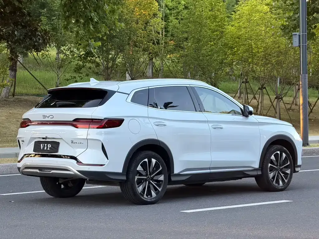 BYD PLUS New Energy — фото 4