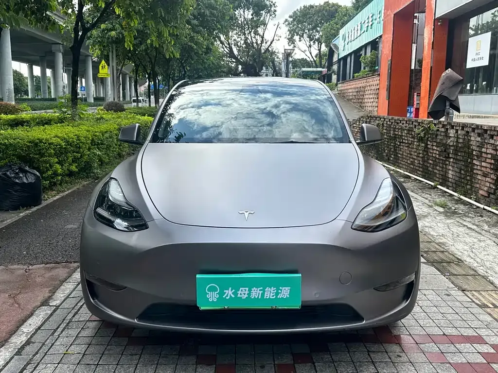 Tesla Model Y — фото 6