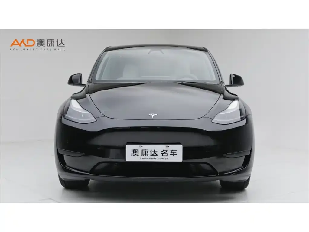 Tesla Model Y — фото 2