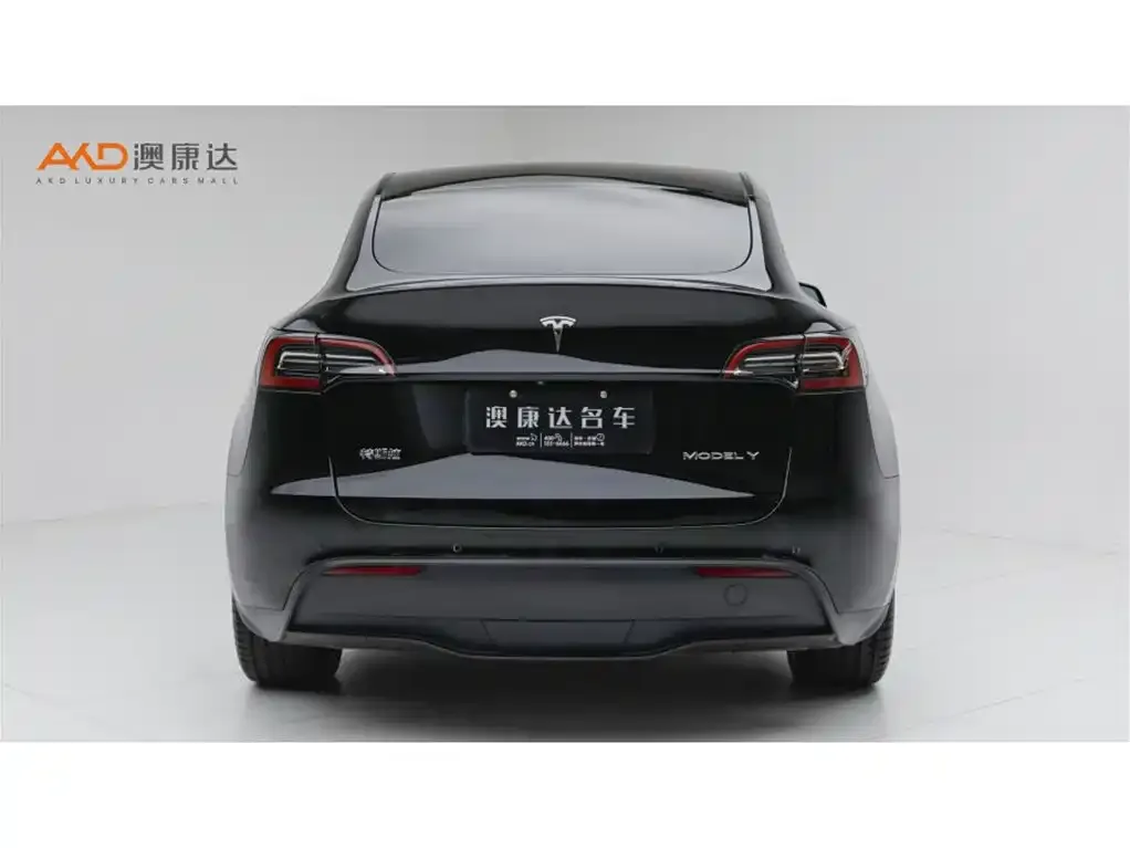 Tesla Model Y — фото 8
