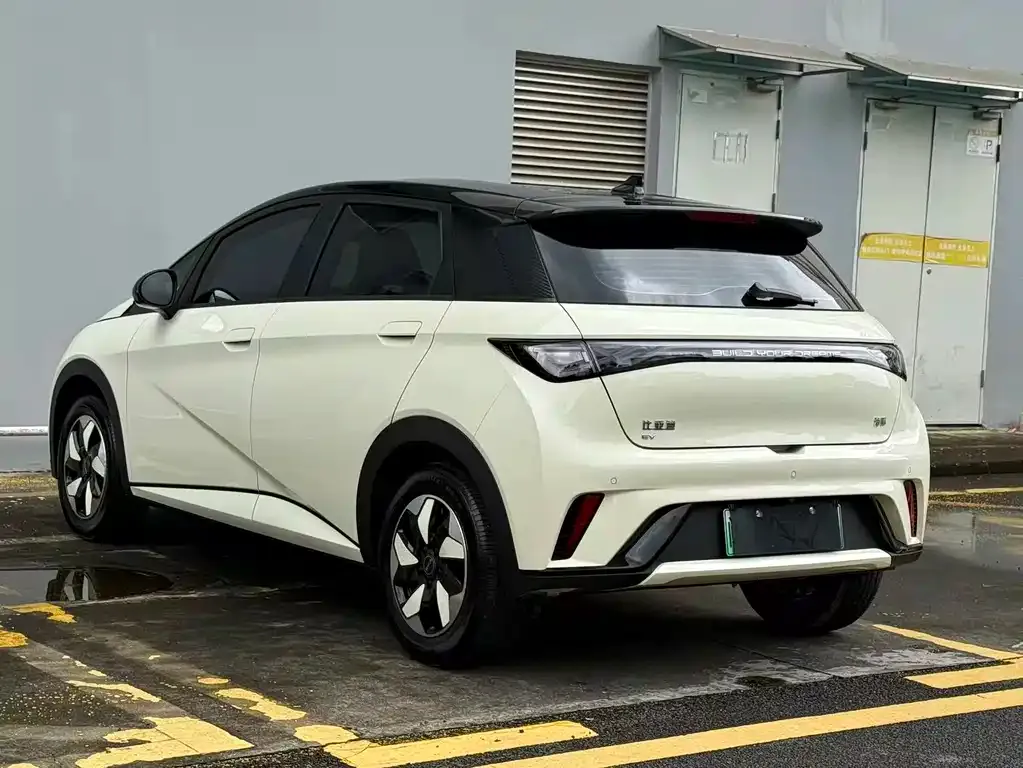 BYD Dolphin — фото 6
