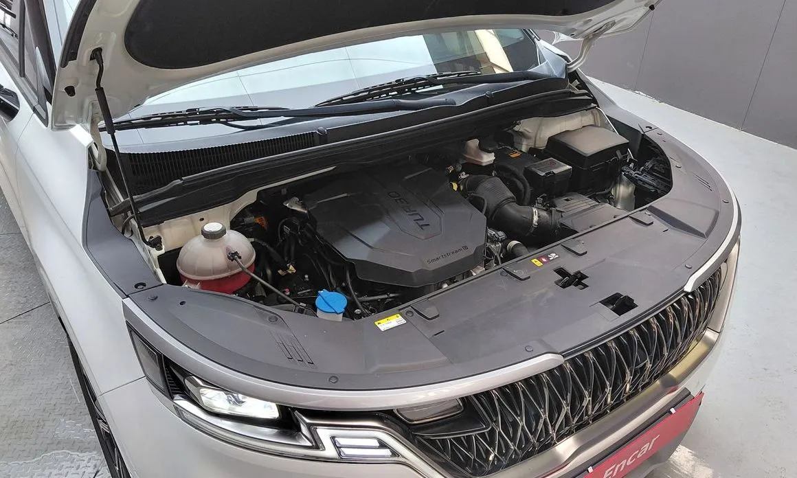 Kia Carnival — фото 10