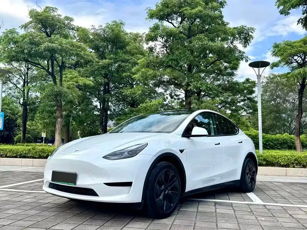 Tesla Model Y — фото 1