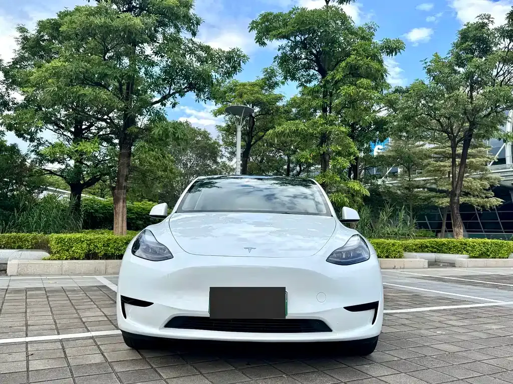 Tesla Model Y — фото 9