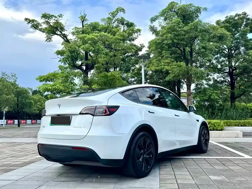 Tesla Model Y — фото 8