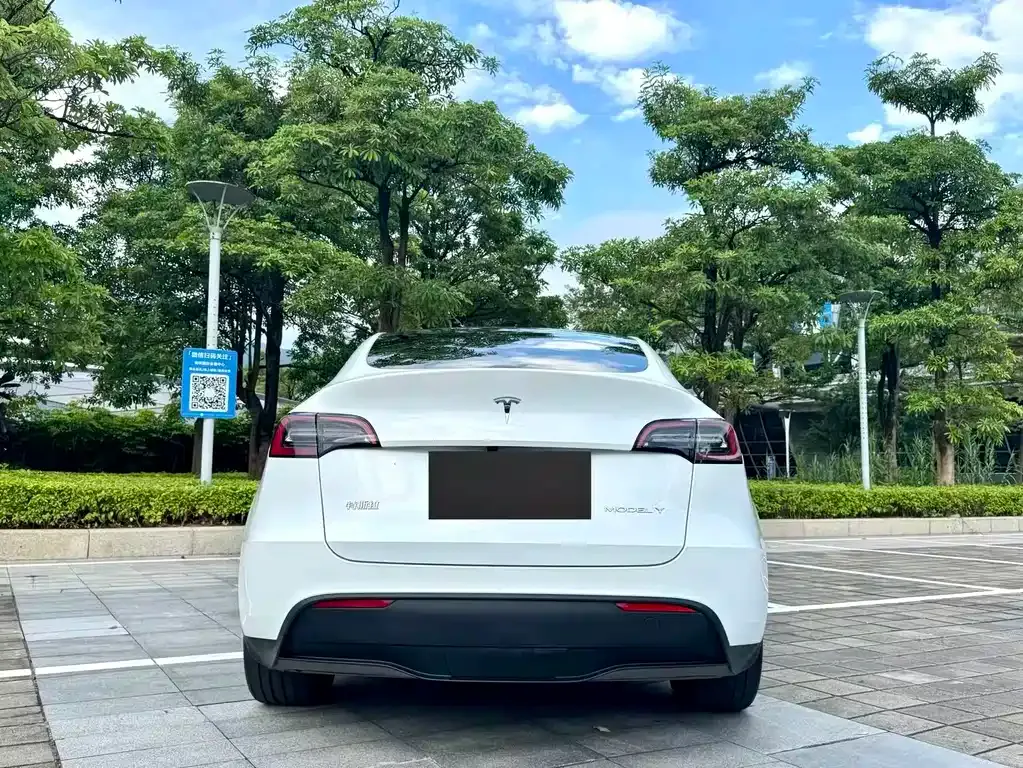 Tesla Model Y — фото 7