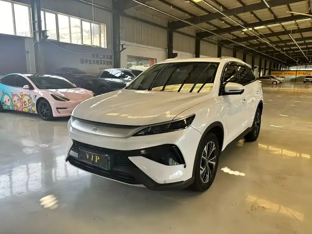 BYD Pro New Energy — фото 1