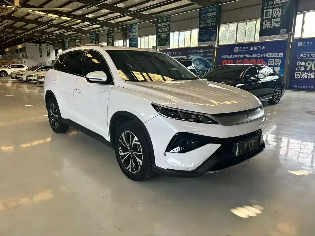 BYD Pro New Energy — фото 2