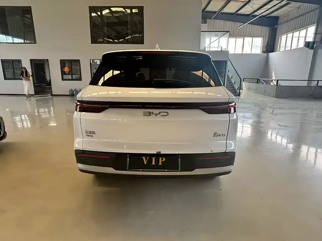 BYD Pro New Energy — фото 3