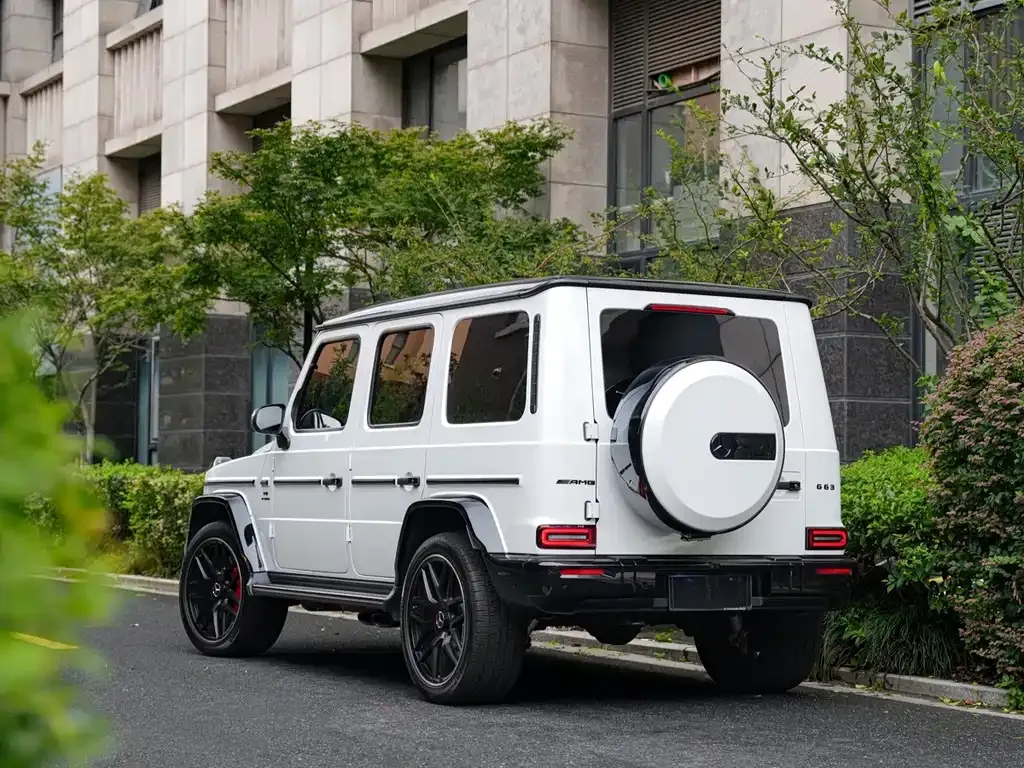 Mercedes-Benz G-Class — фото 10