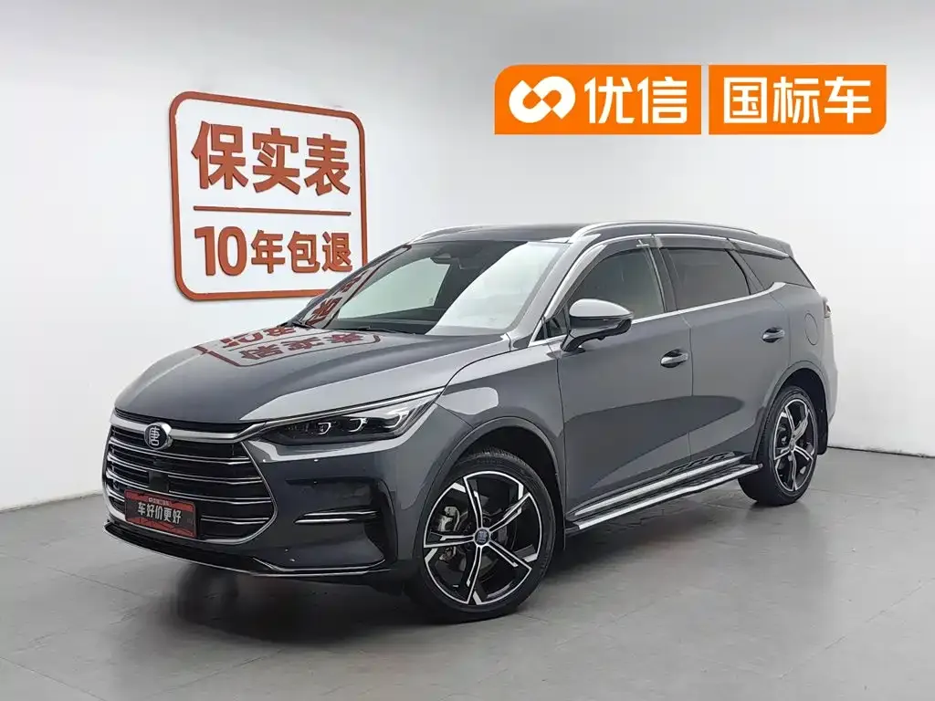 BYD Tang New Energy — фото 1