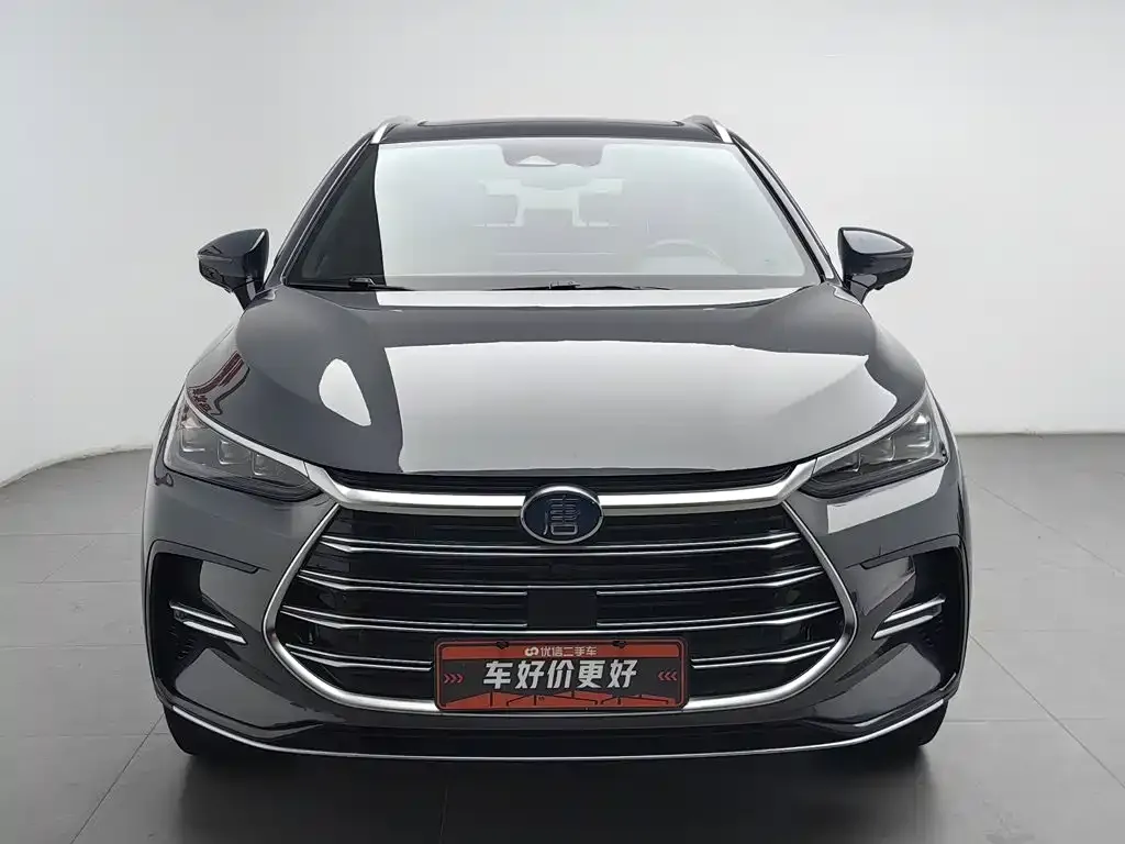 BYD Tang New Energy — фото 8