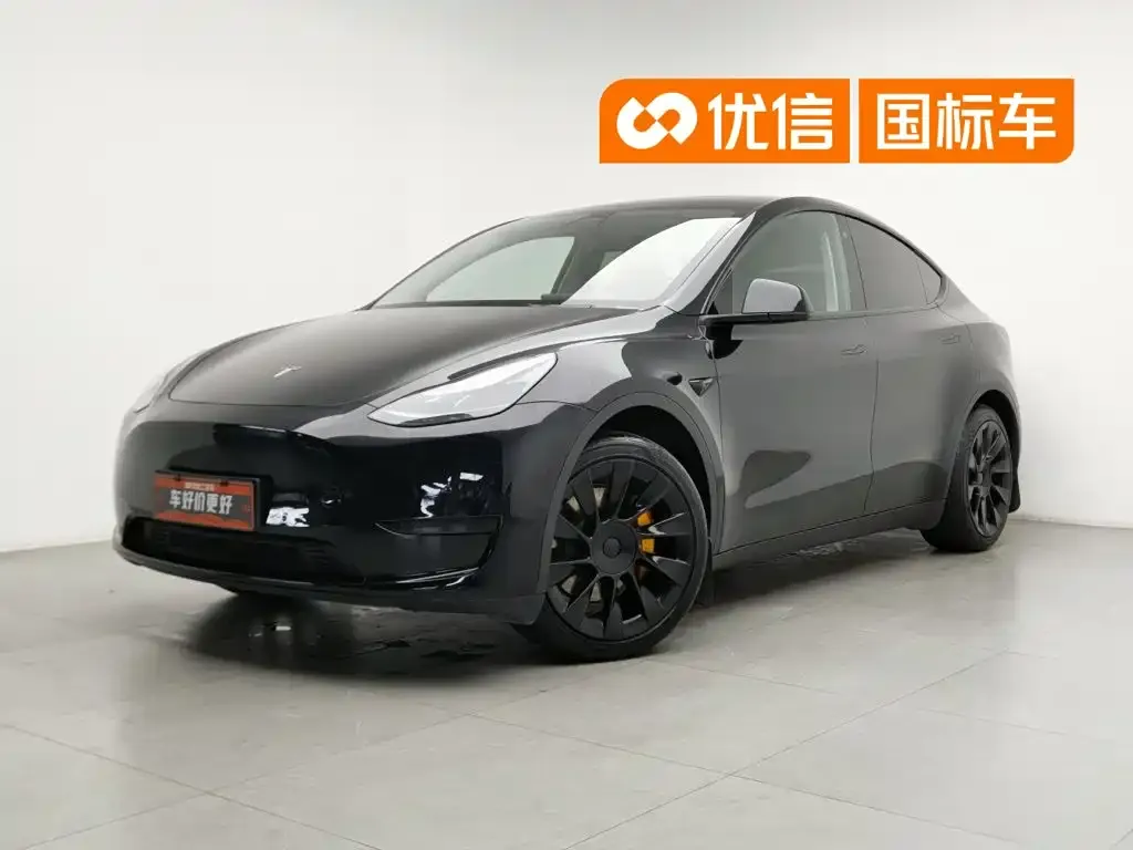 Tesla Model Y — фото 1