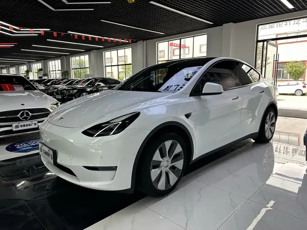 Tesla Model Y — фото 1